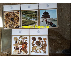 ENCICLOPEDIA CURCUIO RAMA