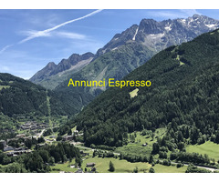 Terreno edificabile mq700 Privato