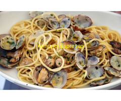 Ristorante PORTAGENOVA mq155 Professionale