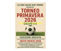 Torneo di calcio a otto giocatori Primavera 2026.