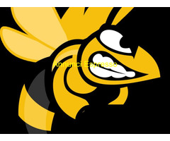 Servizio web remoto online