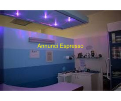 Negozio WASHINGTON-ELBA mq70 Professionale