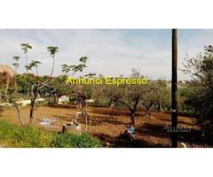 Terreno edificabile mq906 Privato