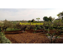 Terreno edificabile mq906 Privato