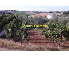 Terreno edificabile mq906 Privato