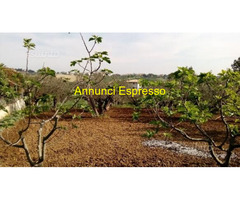 Terreno edificabile mq906 Privato