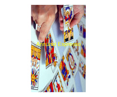 1  domanda conoscitiva