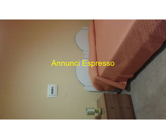 Affitto appartamento Zona parco corolla  mq40 numero localidue