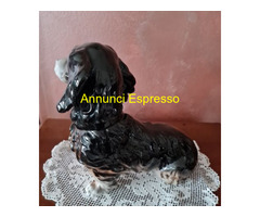 Cane Bassotto Antica Figurina anni '40 in porcella