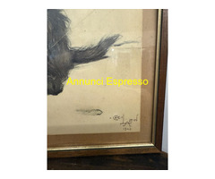 Antica incisione acquerellata, "Cane", Cecil Aldin