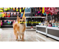 Negozio CENTRO STORICO mq65 Professionale