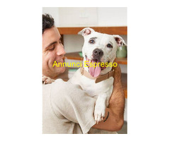 Negozio CENTRO STORICO mq65 Professionale