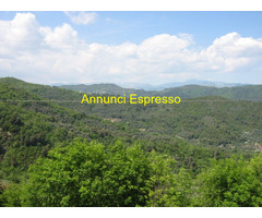 Terreno coltivabile mq3250 Privato