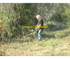 Terreno coltivabile mq3250 Privato