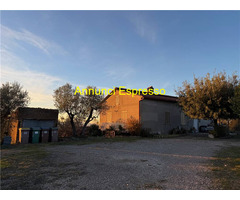  Vendita Villa/Casa singola 240 mq 