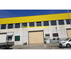 Cerco affitto capannone CESANO VIA MAGELLANO mq600 affitto Euro3000