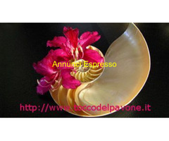 Massaggi Emozionali VIAREGGIO