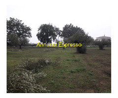 Terreno edificabile mq3635 Privato