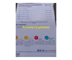 MATEMATICA GEOMETRIA 1° BI.Colori della mate