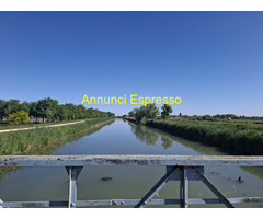 Le mie mani , la schiuma e tu con Viola