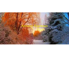 Cerco cartomanti per centro in espansione