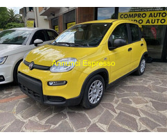 FIAT Panda 3ª serie MY 2025 Berlina