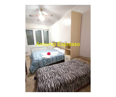 Affitto monolocale  DUE PASSI CARPI  mq28 numero localidue