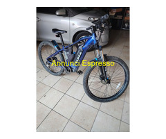 2 BICICLETTE ELETTRICHE