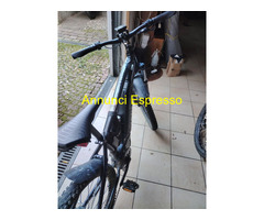 2 BICICLETTE ELETTRICHE