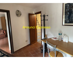 Affitto bilocale centrale mq50 numero localidue