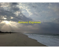 Massaggi Rituali Tantra e molto  con Viola