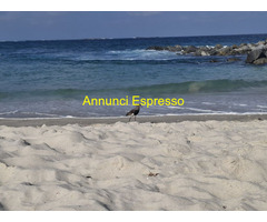 Tantra vero con Viola