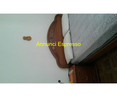 Affitto appartamento Zona Lungomare  mq40 numero localidue