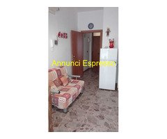 Affitto appartamento Zona Lungomare  mq40 numero localidue