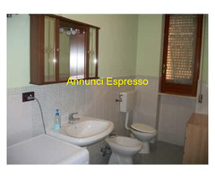 Affitto bilocale Zona Lungomare  mq40 numero localidue