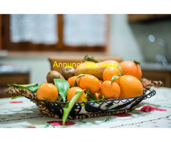 Affitto bilocale ideale pervisitare una nuova città mq55 numero localidue