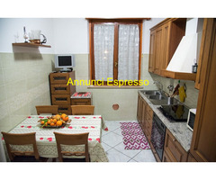 Affitto bilocale ideale pervisitare una nuova città mq55 numero localidue