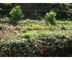 Terreno coltivabile mq3250 Privato