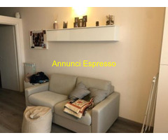 Affitto appartamento Forlanini - Mecenate mq55 numero localidue