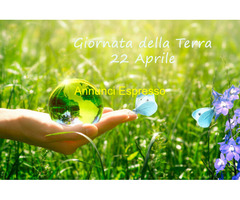 Lettura tarocchi sibille napoletane