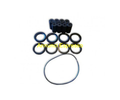 KIT RIPARAZIONE PER POMPA FERRONI MT300