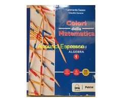 Colori della matematica. Quaderno. Ediz. blu. Per