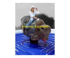 NOLEGGIAMO  GIOCHI GONFIABILI  E SPORTIVI