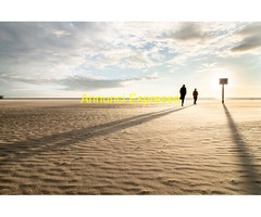 Abicert cerca  Promoter Modella Hostess nel settore Ingegneria - Architettura con  esperienza