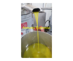 Olio oliva annata 2025