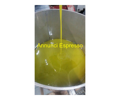 Olio oliva annata 2025