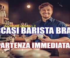 Operaio/a con esperienza annuale cerco lavoro in settore Risorse Umane