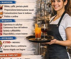 Paskal Job cerca  Cercasi Ragazza Sala nel settore Turismo con  esperienza