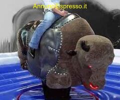 NOLEGGIAMO  GIOCHI GONFIABILI  E SPORTIVI