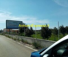 Affitto terreno edificabile mq8100 Privato